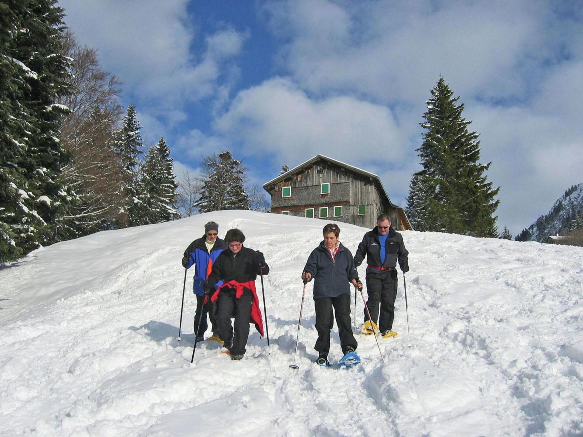 Holiday Home In Sibratsgf Ll In The Bregenzerwald Sibratsgfall Экстерьер фото